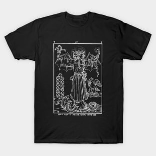 Vintage Occult Alchemy Esoteric Symbolism T-Shirt